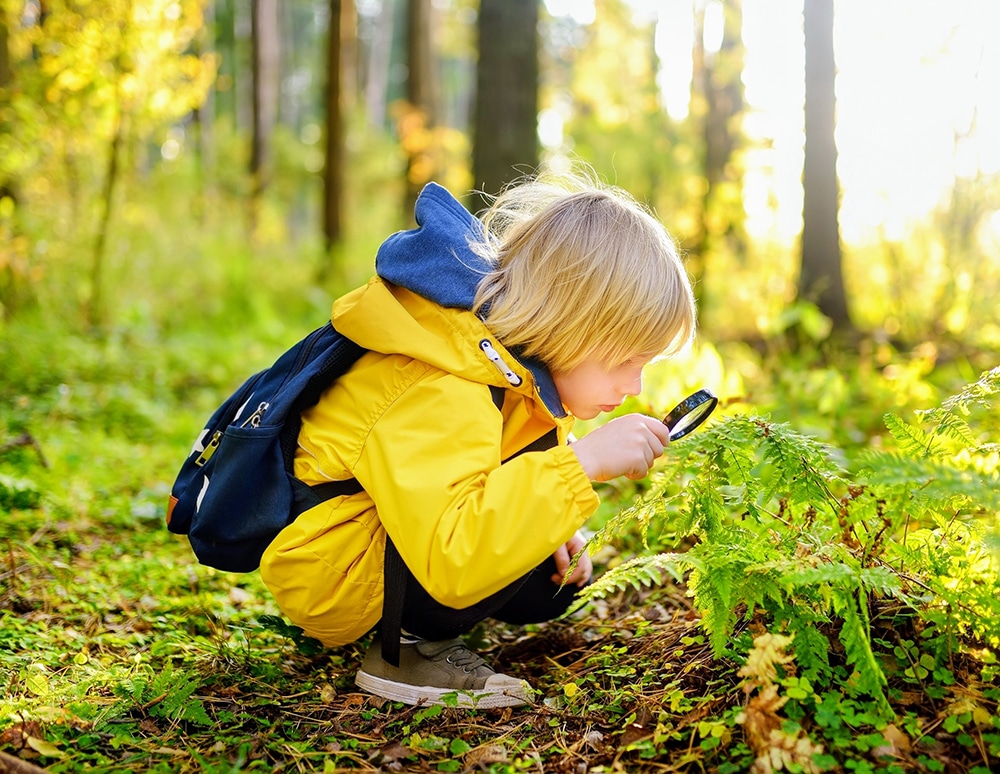 فعالیت کودکان در طبیعت