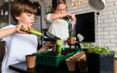 کلاس گیاه شناسی و باغبانی کودکان