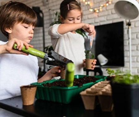 گیاه-شناسی-و-باغبانی کلاس گیاه شناسی و باغبانی کودکان