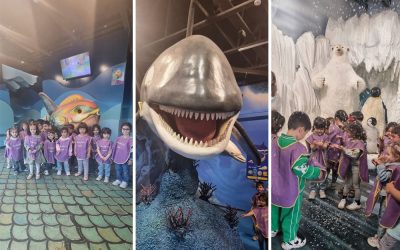 اقیانوس پارک